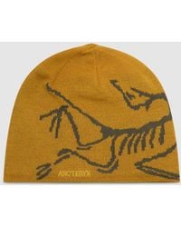 Arc'teryx - Bird Head Toque Beanie (Nucleus/Mongoose - Lyst