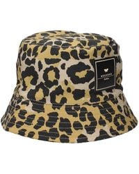 Max Mara - Beige Cotton Bucket Hats - Lyst