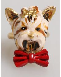 Dolce & Gabbana - Gold Brass Resin Beige Dog Pet Accessory Ring - Lyst