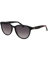 Ted Baker - Black Acetate Sunglasses - Lyst