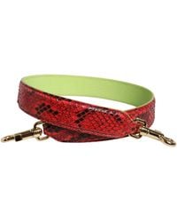 Dolce & Gabbana - Red Exotic Leather Handbag Accessory Shoulder Strap - Lyst