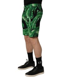 Dolce & Gabbana - Banana Leaf Bermuda Shorts Cotton Elastane - Lyst