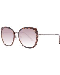 Ted Baker - Brown Sunglasses - Lyst