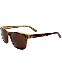 Calvin Klein Sunglasses Ck18508s Brown