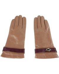 Class Roberto Cavalli Glove - Brown