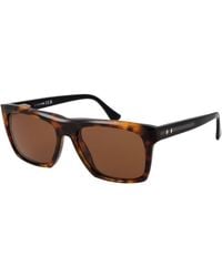 Web - Acetate Sunglasses - Lyst