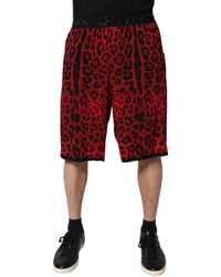 Dolce & Gabbana - Leopard Print Casual Shorts - Lyst