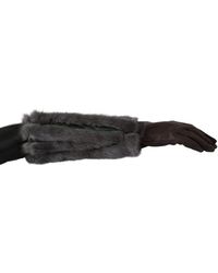 Dolce & Gabbana - Brown Mid Arm Length Leather Fur Gloves - Lyst