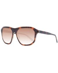 Guess - Brown Unisex Sunglasses - Lyst