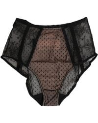 Dolce & Gabbana - Black Sheer Polka Dot Lace High Waist Brief Underwear - Lyst
