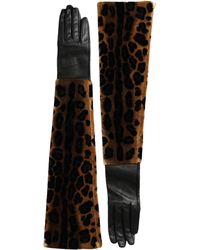 Dolce & Gabbana - Leopard Leather Elbow Length Gloves - Lyst