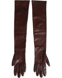 Dolce & Gabbana - Brown Genuine Leather Long Elbow Length Gloves - Lyst
