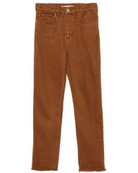 hinnominate - Brown Cotton Jeans & Pant - Lyst