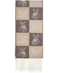 Max Mara - Beige Cashmere Scarf - Lyst
