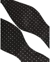 Dolce & Gabbana - Black White Polka Dot Adjustable Neck Papillon Bow Tie - Lyst
