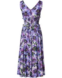 Dolce & Gabbana - Purple Anemone Print Pleated Midi Dress - Lyst