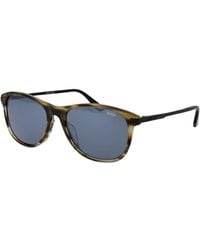 BMW - Brown Acetate Sunglasses - Lyst