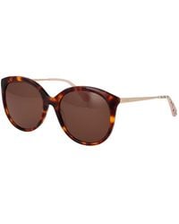 Ted Baker - Brown Acetate Sunglasses - Lyst