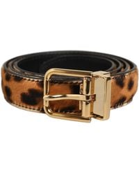 Dolce & Gabbana - Brown Leopard Calf Hair Gold Tone Buckle Belt - Lyst