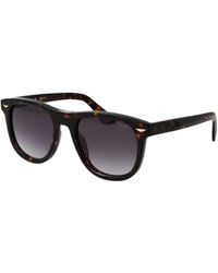 Police - Brown Cellulose Acetate Sunglasses - Lyst