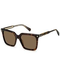 Polaroid - Brown Acetate Sunglasses - Lyst