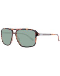 Guess - Brownsunglasses - Lyst