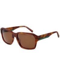 Timberland - Brown Acetate Sunglasses - Lyst