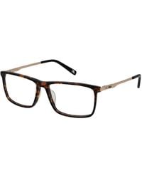 Fila - Brown Cellulose Acetate Glasses (frames) - Lyst