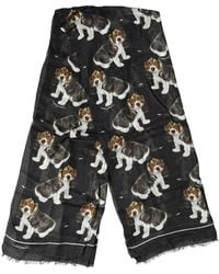 Dolce & Gabbana - Dog Print Modal Wool Wrap Foulard 178Cm X 63Cm Scarf - Lyst