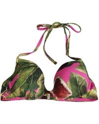 Dolce & Gabbana - Fuchsia Pink Fig Print Beachwear Bikini Top - Lyst
