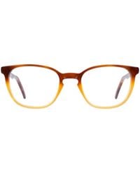 Andy Wolf - Brown Acetate Glasses (frames) - Lyst