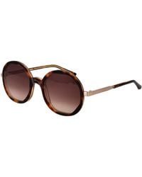 Sandro - Brown Acetate Sunglasses - Lyst
