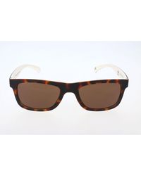 adidas - Brown Acetate Sunglasses - Lyst