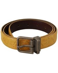 Dolce & Gabbana - Dolce Gabbana Yellow Exotic Skin Leather Grey Buckle Belt - Lyst