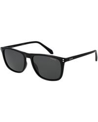 Polaroid - Black Acetate Sunglasses - Lyst