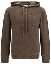 Roberto Collina - Brown Wool Oves Aries Hoodie - Lyst