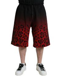 Dolce & Gabbana - Leopard Print Cotton Bermuda Shorts - Lyst