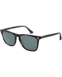 Web - Black Acetate Sunglasses - Lyst