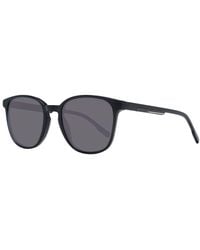 Hackett - Acetate Sunglasses - Lyst