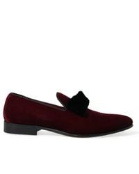 Dolce & Gabbana - Burgundy Velvet Loafers - Lyst