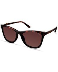 Guess - Brown Resin Sunglasses - Lyst