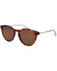 Ted Baker - Brown Acetate Sunglasses - Lyst