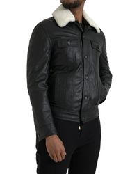 Dolce & Gabbana - Leather Fur Collar Biker Coat Jacket - Lyst