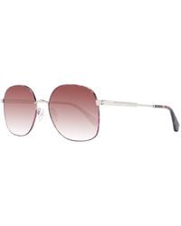 Ted Baker - Brown Sunglasses - Lyst