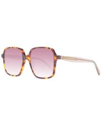 Ted Baker - Multicolor Sunglasses - Lyst