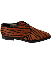 Dolce & Gabbana - Tiger-print Laced Shoes - Lyst