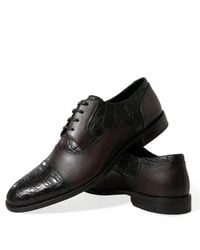 Dolce & Gabbana - Exotic Leather Formal Dress Shoes - Lyst