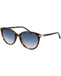 Tommy Hilfiger - Brown Acetate Sunglasses - Lyst