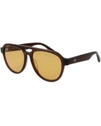 GANT - Brown Acetate Sunglasses - Lyst