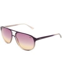 Lozza - Purple Injected Sunglasses - Lyst